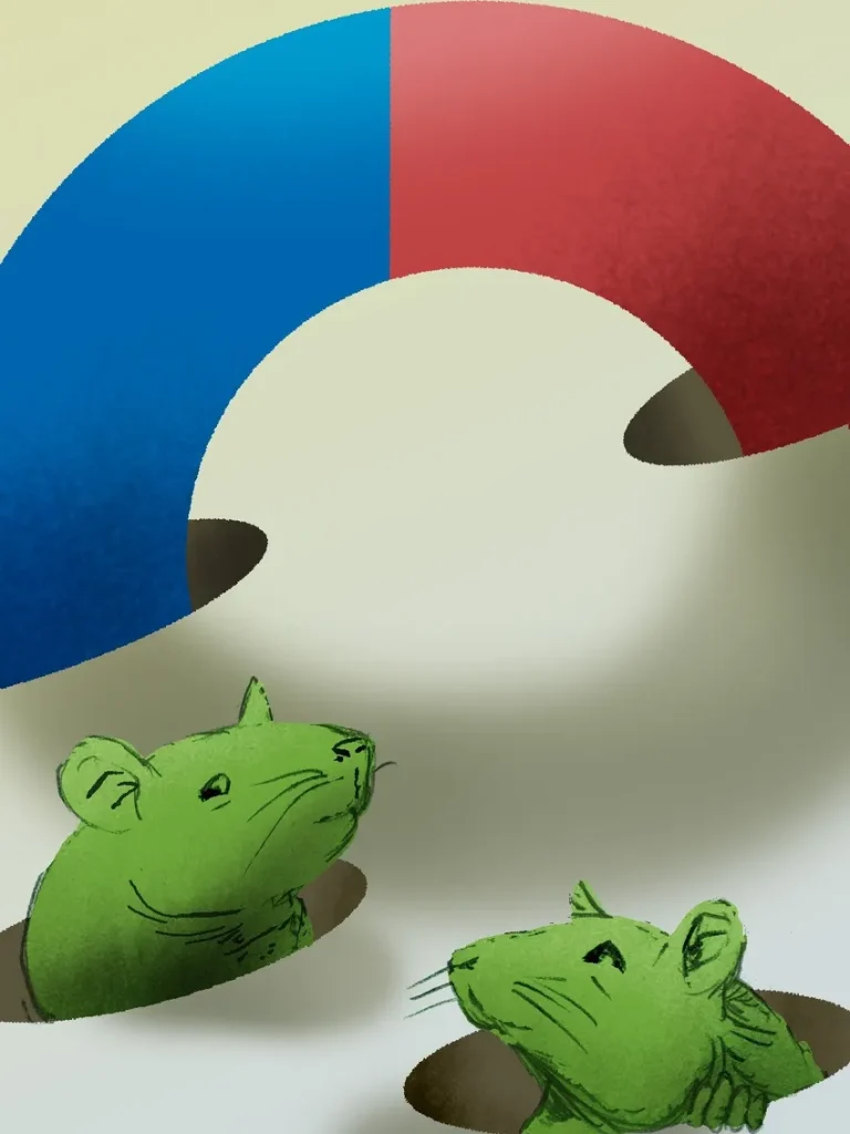 Cabeza de ratón